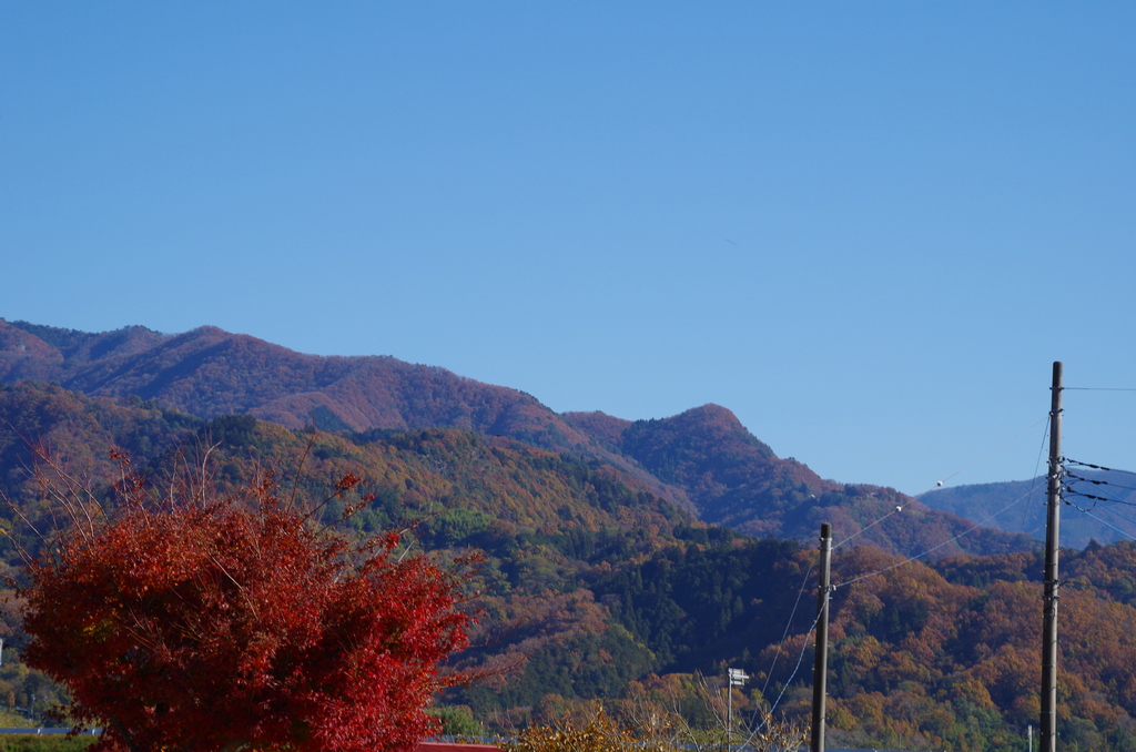 道の駅にしじま和紙の里かみすきパーク