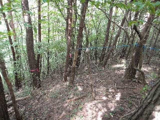 033_移動路.jpg