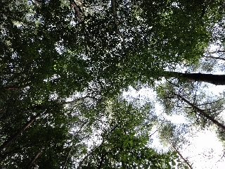046_標柱周辺_真上.jpg
