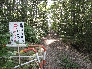 053_大城山移動路.jpg