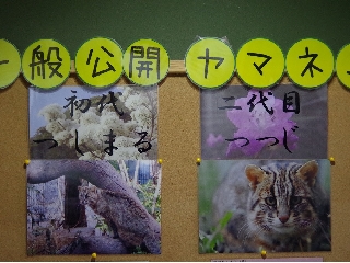 040_福馬.jpg